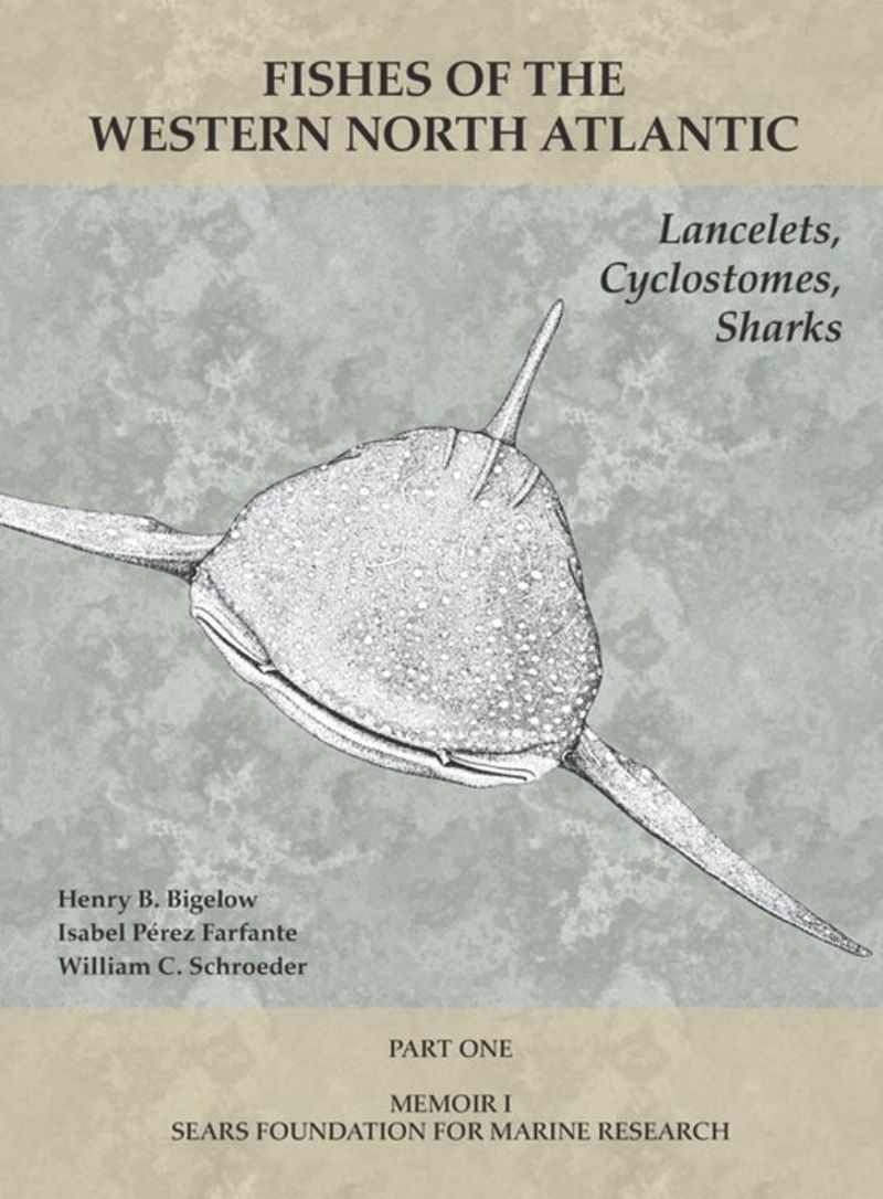 book: Lancelets, Cyclostomes, Sharks