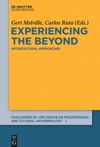 book: Experiencing the Beyond