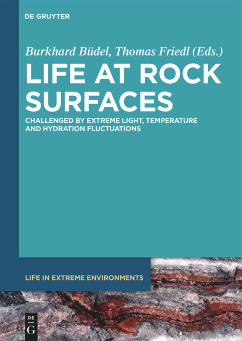 book: Life at Rock Surfaces