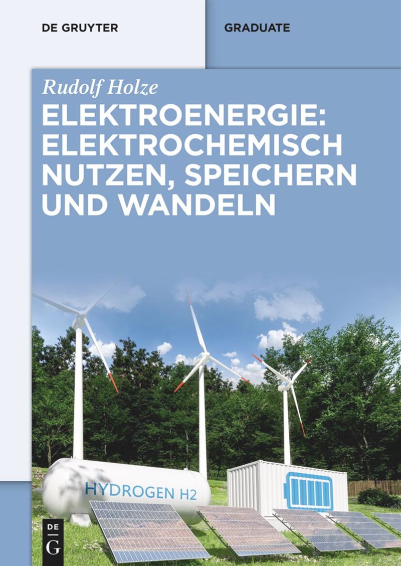 book: Elektroenergie: Elektrochemisch nutzen, speichern und wandeln