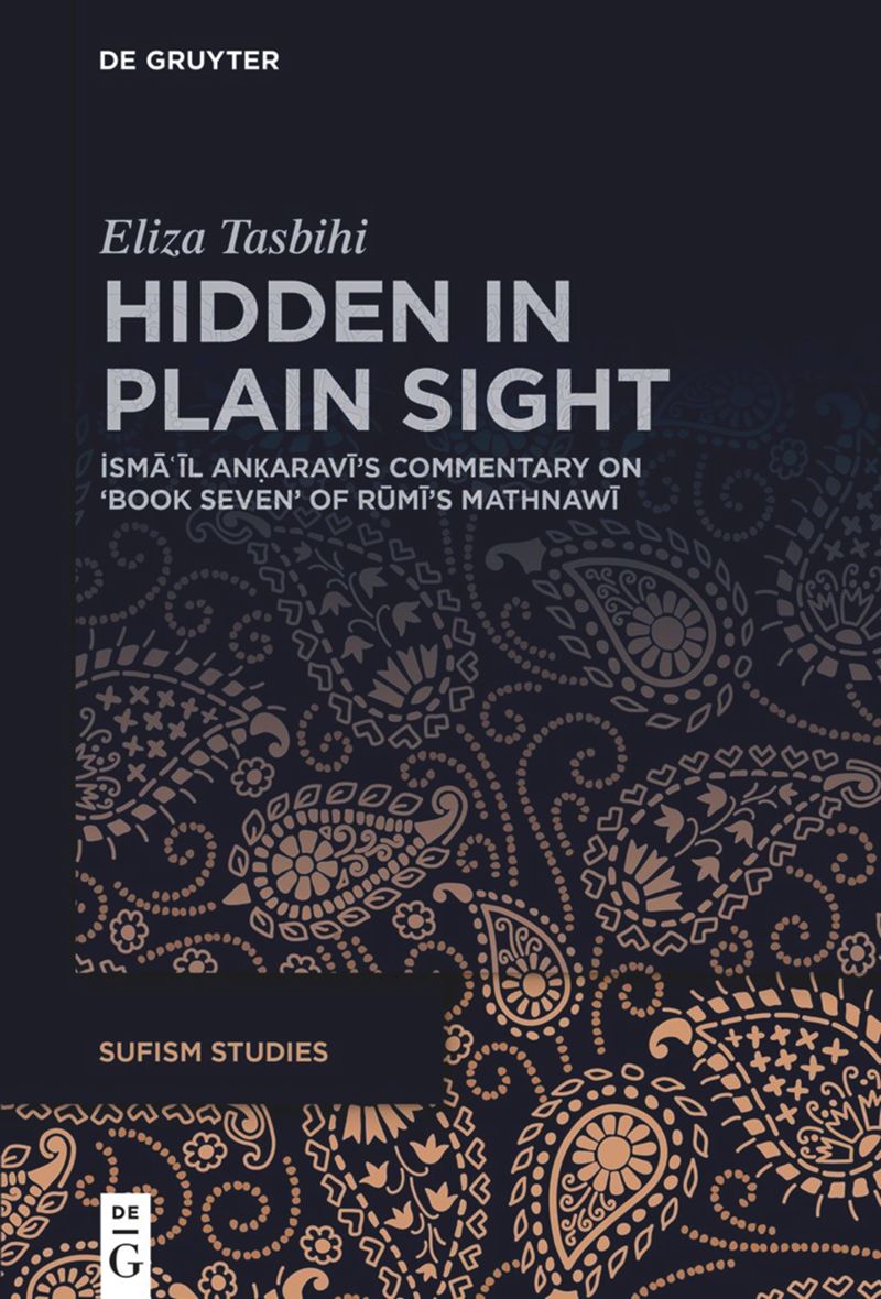 book: Hidden in Plain Sight