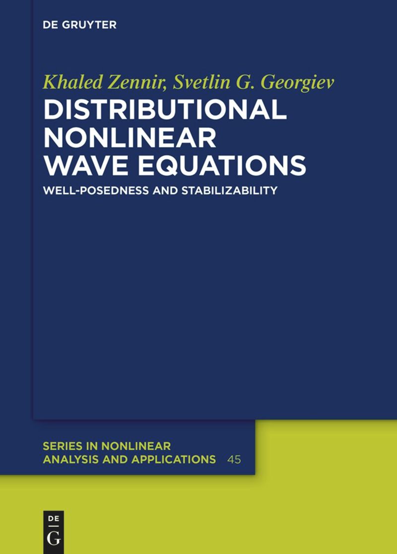 book: Distributional Nonlinear Wave Equations