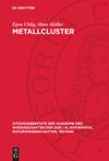 book: Metallcluster