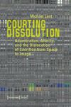 book: Courting Dissolution
