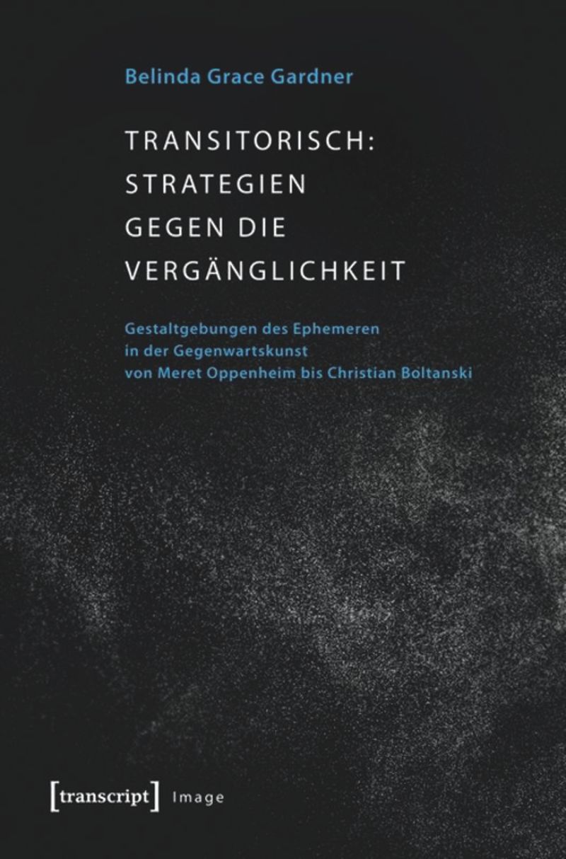 book: Transitorisch: Strategien gegen die Vergänglichkeit