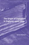 book: The Origin of Capitalism in England, 1400–1600