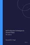 book: Salt Production Techniques in Ancient China
