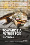 book: Towards a Future for BRICS+
