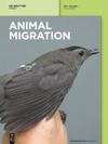 Animal Migration