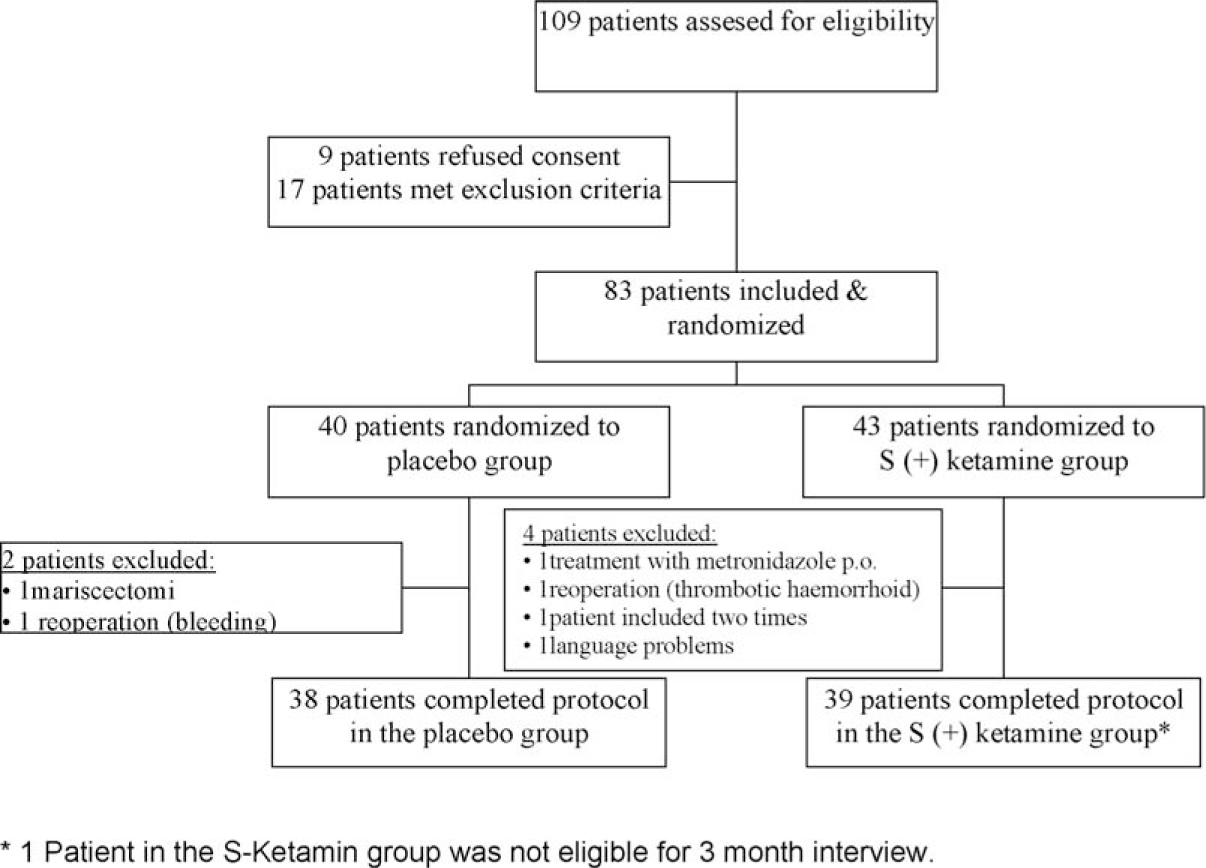 Fig. 1 
							Patient flow chart according to the CONSORT guidelines.
						