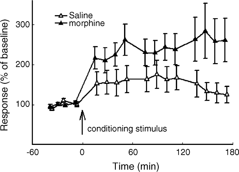 Fig. 1
Extracellular single unit recordings. From Haugan (2008).