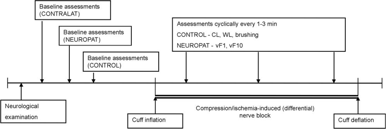 Fig. 1 
              Time course of the experiment. CONTRALAT = contralateral pain free area. NEUROPAT= neuropathic area. CONTROL = control area neighbouring the painful site. CL = perception level to cold. WL= perception level to warmth. vF1 = pain perception level to 1 s von Frey filament stimulation. vF10 = pain perception level to 10 s von Frey filament stimulation.