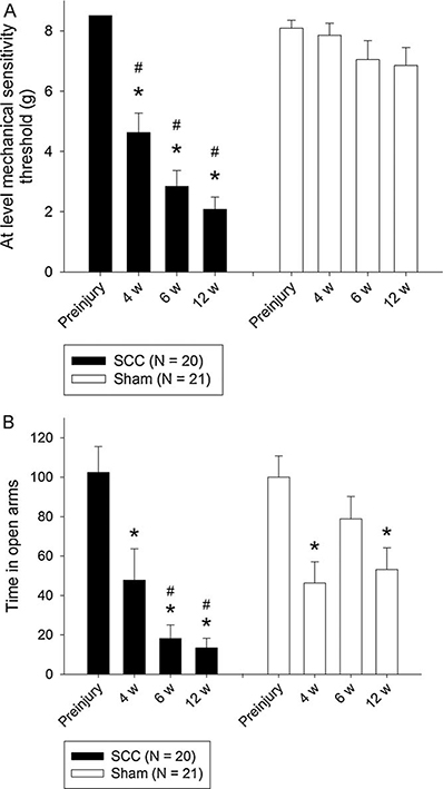 Fig. 1 
              Development of mechanical hypersensitivity (a) and anxiety (b) in animals with a 12.5mm SCC at bone segment T10. Data are presented as average at-level mechanical sensitivity thresholds (g)±S.E.M. *p < 0.05 compared with preinjury. #p < 0.05 compared with sham group. (A) SCC animals had a lower threshold 4, 6, and 12 weeks postinjury as compared with preinjury (p < 0.001, mixed model). There is no significant difference between 6 and 12 weeks postinjury (pre- and postpharmacological testing) (p = 0.191, mixed model contrast). (B) SCC animals spent less time in the open arms of the EPM 4, 6, and 12 weeks postinjury compared with preinjury (p = 0.036, mixed model excluding preinjury). There is no significant difference between 6 and 12 weeks postinjury (pre- and postpharmacological treatment). Data have been normalized to the mean value of the preinjury measurement.
            