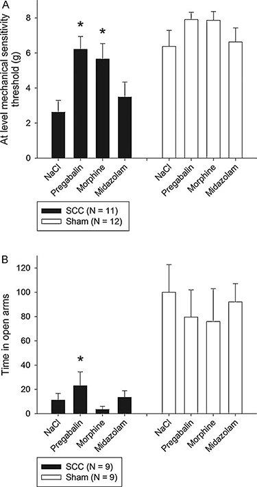 Fig. 2 
              Treatment effect on mechanical hypersensitivity (a) and anxiety (b) in animals with a 12.5mm SCC at T10. Data are presented as average at-level mechanical sensitivity thresholds (g)±S.E.M. *p < 0.05 compared with NaCl 0.9%. (A) SCC animals had an increase in at-level mechanical sensitivity threshold after treatment with 30 mg/kg pregabalin IP (p < 0.001, mixed model contrast) and 3 mg/kg morphine IP (p = 0.001, mixed model contrast) but no significant effect of midazolam 0.5 mg/kg IP (p = 0.323, mixed model contrast). Sham animals had no treatment effect of either drug (p = 0.178, mixed model). (B) SCC animals had a twofold increase in open arm activity after treatment with 30 mg/kg pregabalin IP (p < 0.001, mixed model contrast), whereas 3mg/kg morphine IP (p = 0.425, mixed model contrast) and 0.5 mg/kg midazolam IP (p = 0.675, mixed model contrast) had no significant effect. Sham animals had no treatment effect of either drug (p = 0.710, mixed model). Data have been normalized to the mean value of the saline measurement.
            