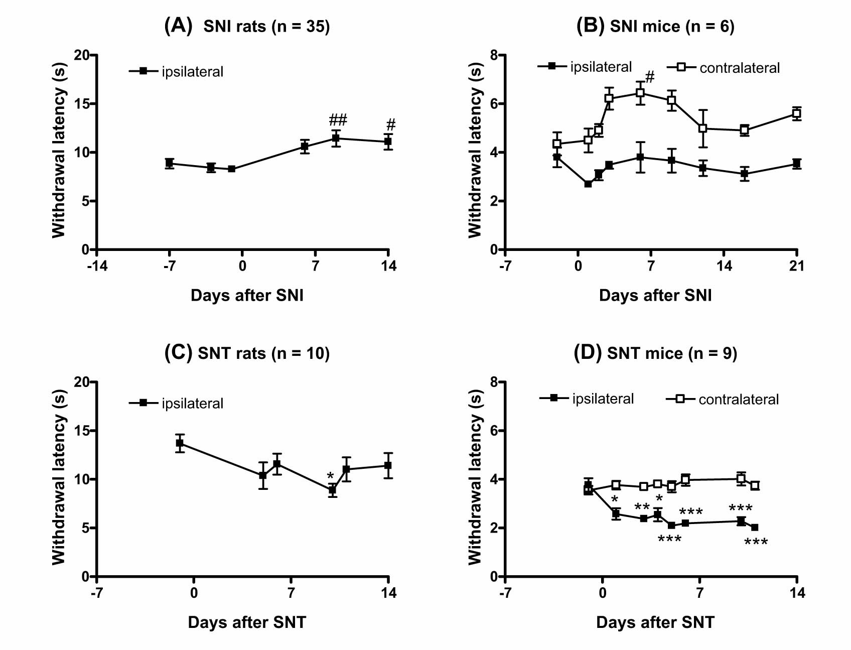 Fig. 3 
              Paw withdrawal latency in response to thermal stimulation before and after nerve injury, assessed in (A). SNI rats (n = 35), (B) SNI mice (n = 6), (C) SNT rats (n = 10) and (D) SNT mice (n = 9). The Hargreave’s plantar test (IITC Life Sciences, Woodland Hills, CA, USA) was conducted two or three times before SNI/SNT surgery and repeatedly up to 21 days after surgery. A radiant heat source, adjusted to give a pre-surgery withdrawal latency of 4–5 s and 8–9 s for mice and rats respectively, was directed to the lateral plantar surface of the hind paw. Measurements were done by manually starting and stopping the heat source, while the time was simultaneously recorded to the nearest 0.01 s by the apparatus. Measuring of thermal stimulation demand equal and stable skin temperature of area subjected for measurement [33]. This is ensured by performing the measurement at a set ambient temperature and where the paw has contact with the glass plate. The withdrawal latency was calculated as the mean of two or three measurements, which were separated by 5min. To prevent tissue damage, a cut-off of 20 s was used. Post-surgery latencies ipsilateral to nerve injury were significantly lower than pre-surgery latencies in the SNT model (*p < 0.05, **p < 0.01, ***p < 0.001; repeated measures one-way ANOVA with Bonferroni’s multiple comparison test). However, in the SNI model, post-surgical latencies were either not altered or slightly higher than pre-surgery latencies (#p < 0.05, ##p < 0.01; repeated measures one-way ANOVA with Bonferroni’s multiple comparison test) (in-house, unpublished data).
            