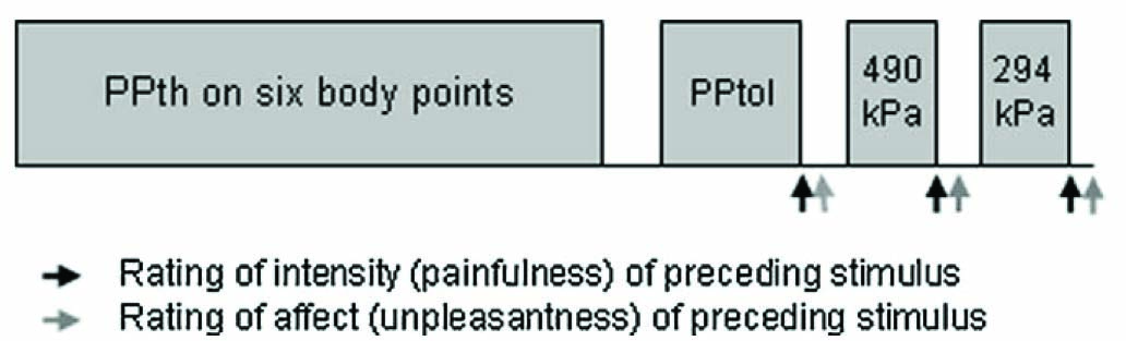 Fig. 1
Time line of assessment of pressure-pain measures.