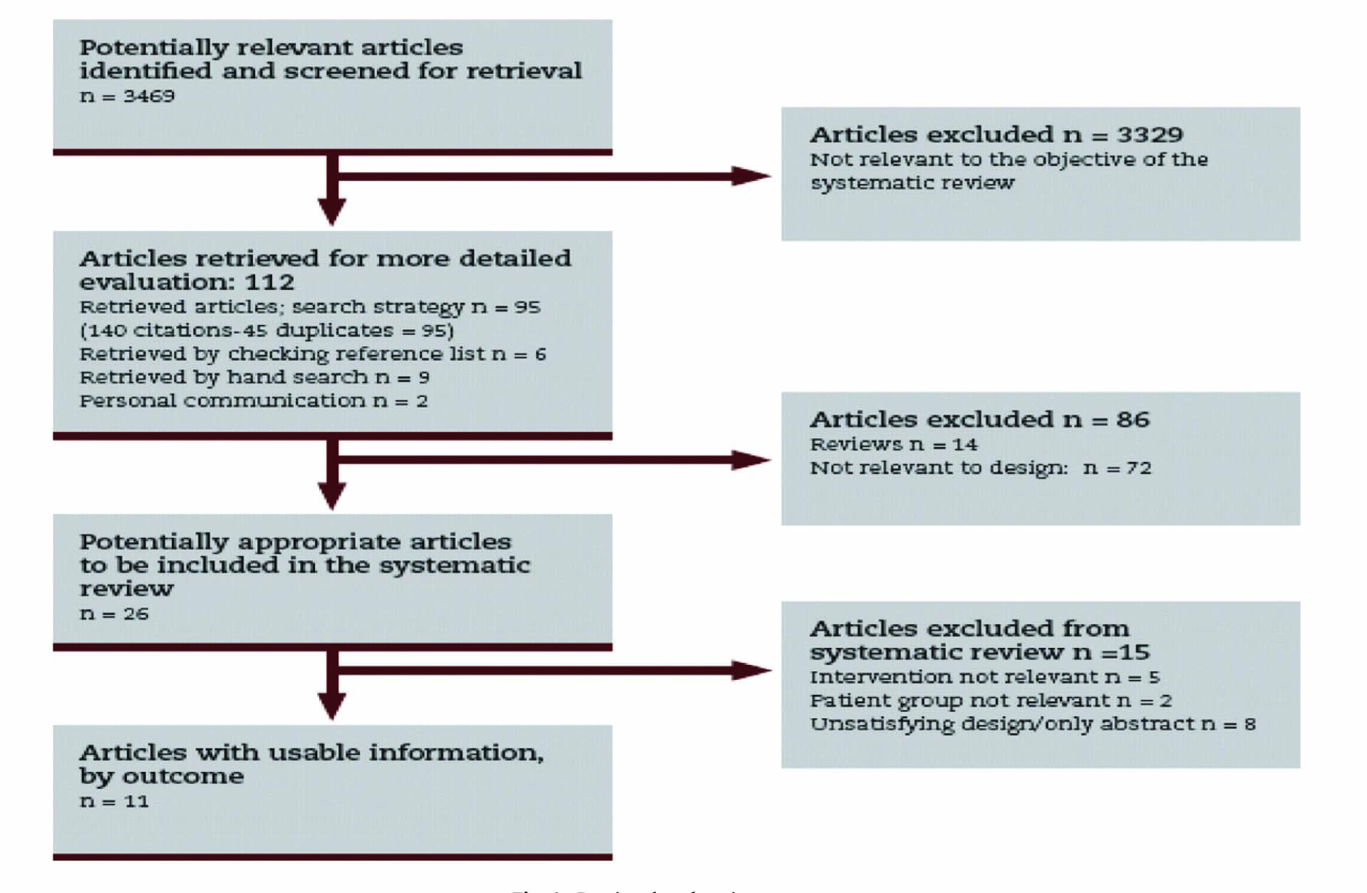 Fig. 1 
              Retrieval and review process.