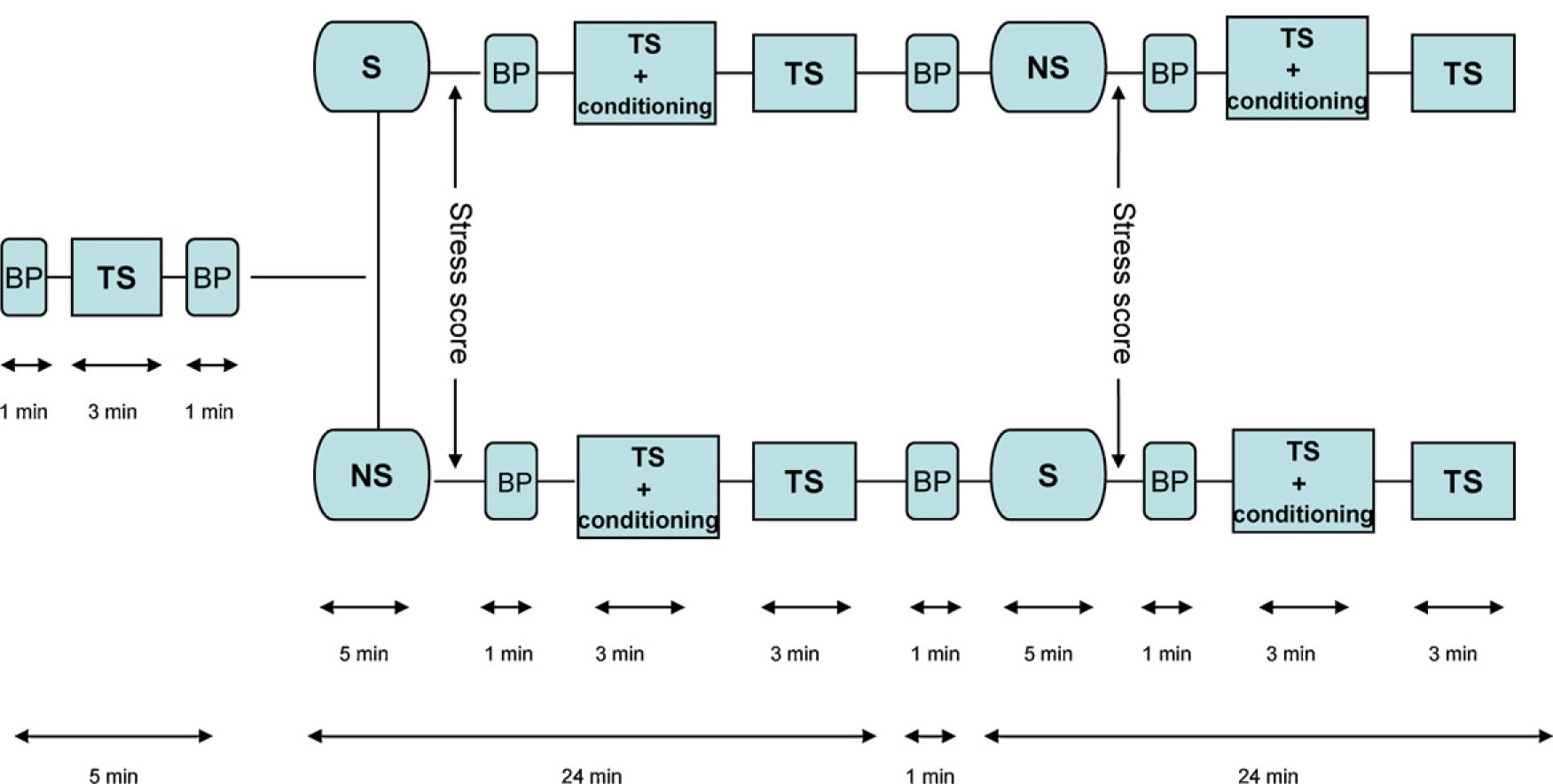 Fig. 1
Timeline for the experiment. BP: Brachial oscillometric blood pressure recording, 30 s. TS: recording of heat pain threshold (HPT), supra-threshold heat pain level (SHPL) and pressure-pain thresholds (PPT) at baseline, approximately 3 min. S: stressful mental arithmetic task for 5min (mental arithmetic task successively subtracting 7, starting at 1000). NS: non-stressful task for 5min (listening to a CD with a well known Norwegian tale for children). TS + conditioning: conditioning stimulus for approximately 3 min; pain induced by a brachial placed blood pressure cuff inflated to 240 mmHg. Recording of HPT, SHPL and PPT during the conditioning stimulus. After TS + conditioning subjects rested 12 min before the next TS session.