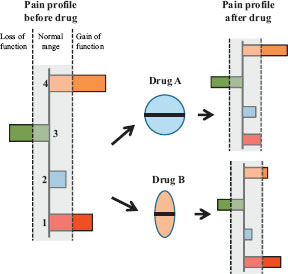 Fig. 2 
            The mechanistic pain profile composed of 4 mechanistic pain bio markers characterises the pain patient. Two of the bio markers show gain of function, and one shows loss of function. The patients are then exposed to drug A and/or B. Drug A inhibits significantly the facilitated bio marker 1 response whereas drug B significantly inhibits the facilitated bio marker 4 response. Theoretically, combining drug A's mode-of-mechanism with drug B's mode-of-mechanism should cause an inhibition of the facilitated pain mechanisms indicating theoretically how individualised pain management regimes could be implemented. How such an approach would benefit patients needs to be proven for different classes of chronic pain disorders.
          