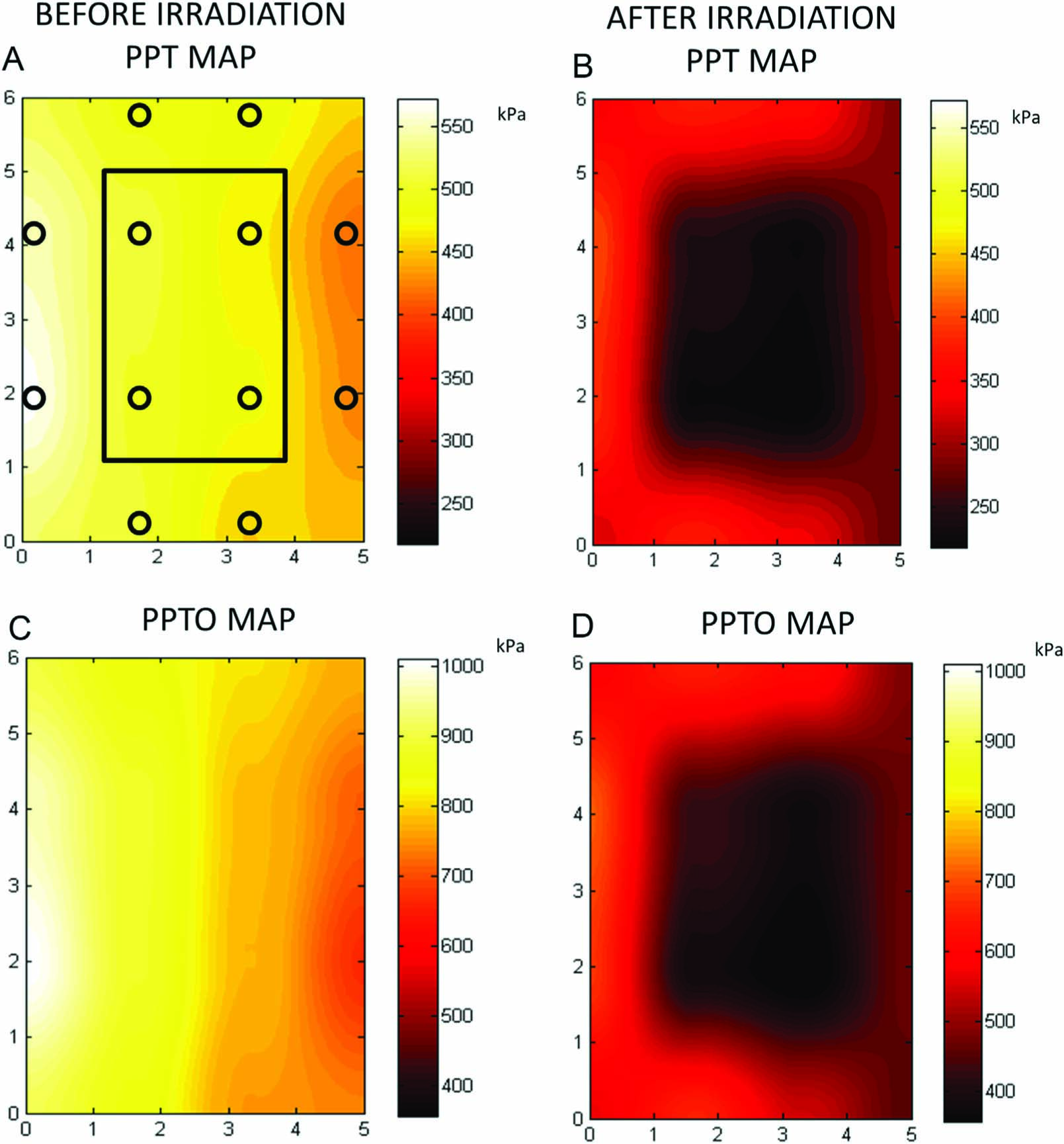 Fig. 5 
              Pain pressure threshold and pain pressure tolerance maps before and after irradiation in the low back: the assessments sites are illustrated in panel A. The maps are based on interpolated mean values (N = 16) from assessments with the 0.5cm2 flat probe. The bottom of the maps is referred to the most caudal part of the lower back.