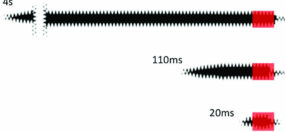 Fig. 2 
              Duration and timing of the vibration and electrical stimuli in the three CS duration groups. The black bar represents the vibration and the red bar represents the 20 ms electrocutaneous stimulus.