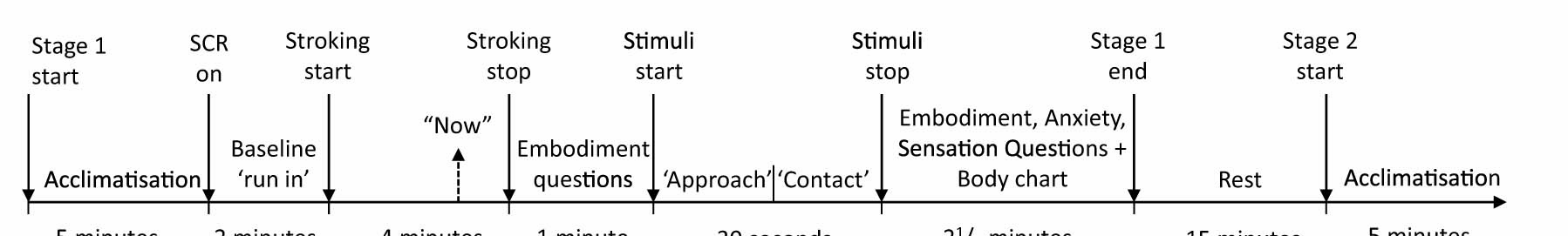 Fig. 2 
              Time line of experimental events. SCR = Skin Conductance Response.
            