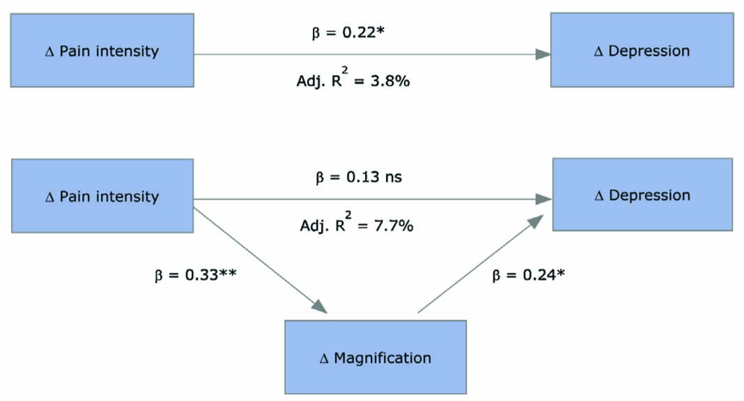 Fig. 1 
              Change over 6 months in magnification mediates the relationship between change in pain intensity and change in depressed mood (*p<0.05; **p<0.01; ns, non-significant; fi, standardized coefficients).
            