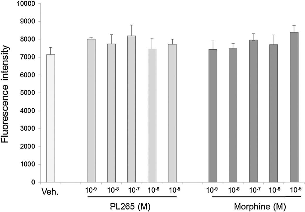 Fig. 1
Effect of PL265 or morphine on B16-F10 cell viability in vitro. Fluorescence intensity was measured 8 h after the addition of vehicle, PL265 (10–9–10–5M) or morphine (10–9–10–5M) to culture plates with 1000 B16-F10 cells. Each bar represents the mean and corresponding S.E.M. (n = 5).