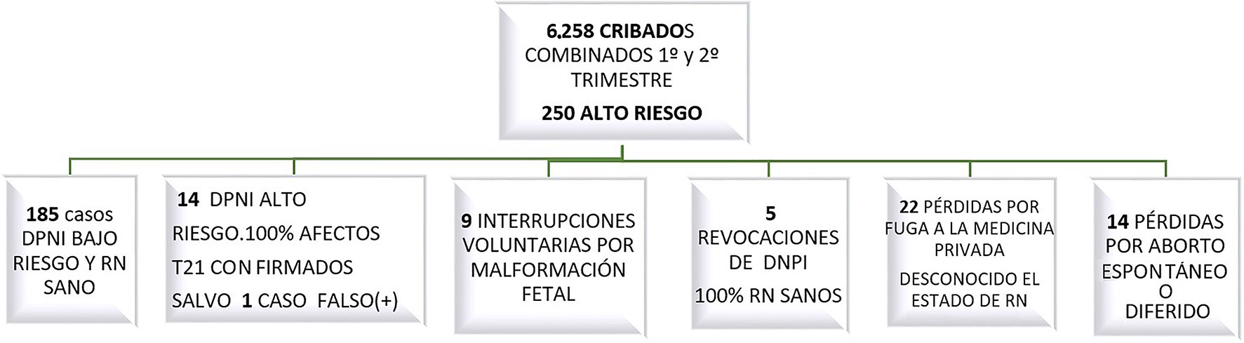 Figura 2: 
Resultados tras la implementación del Diagnóstico Prenatal No Invasivo en nuestra Área Sanitaria.
