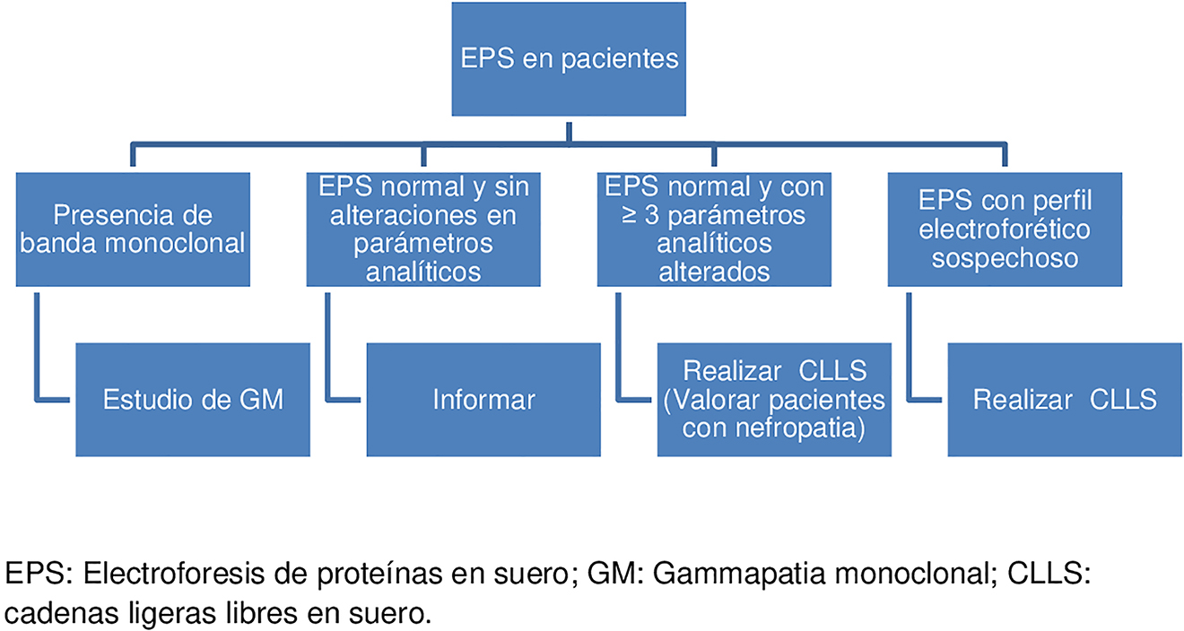 Figura 1: 
Algoritmo propuesto para el cribado de gammapatia monoclonal.
