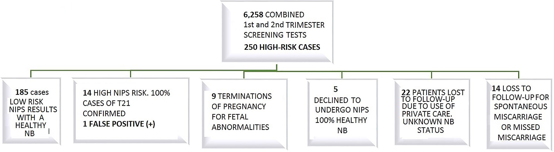 Figure 2: 
Results after the implementation of on-invasive prenatal diagnosis in our area.
