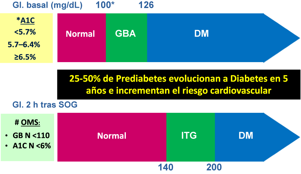 Figura 1: 
Diagnóstico de preDM y DM (ADA* vs. OMS#).
ADA, American Diabetes Association; DM, diabetes mellitus; GBA, glucemia basal alterada; Gl, glucemia; ITG, intolerancia a la glucosa; N, normal; OMS, Organización Mundial de la Salud; SOG, sobrecarga oral de glucosa
