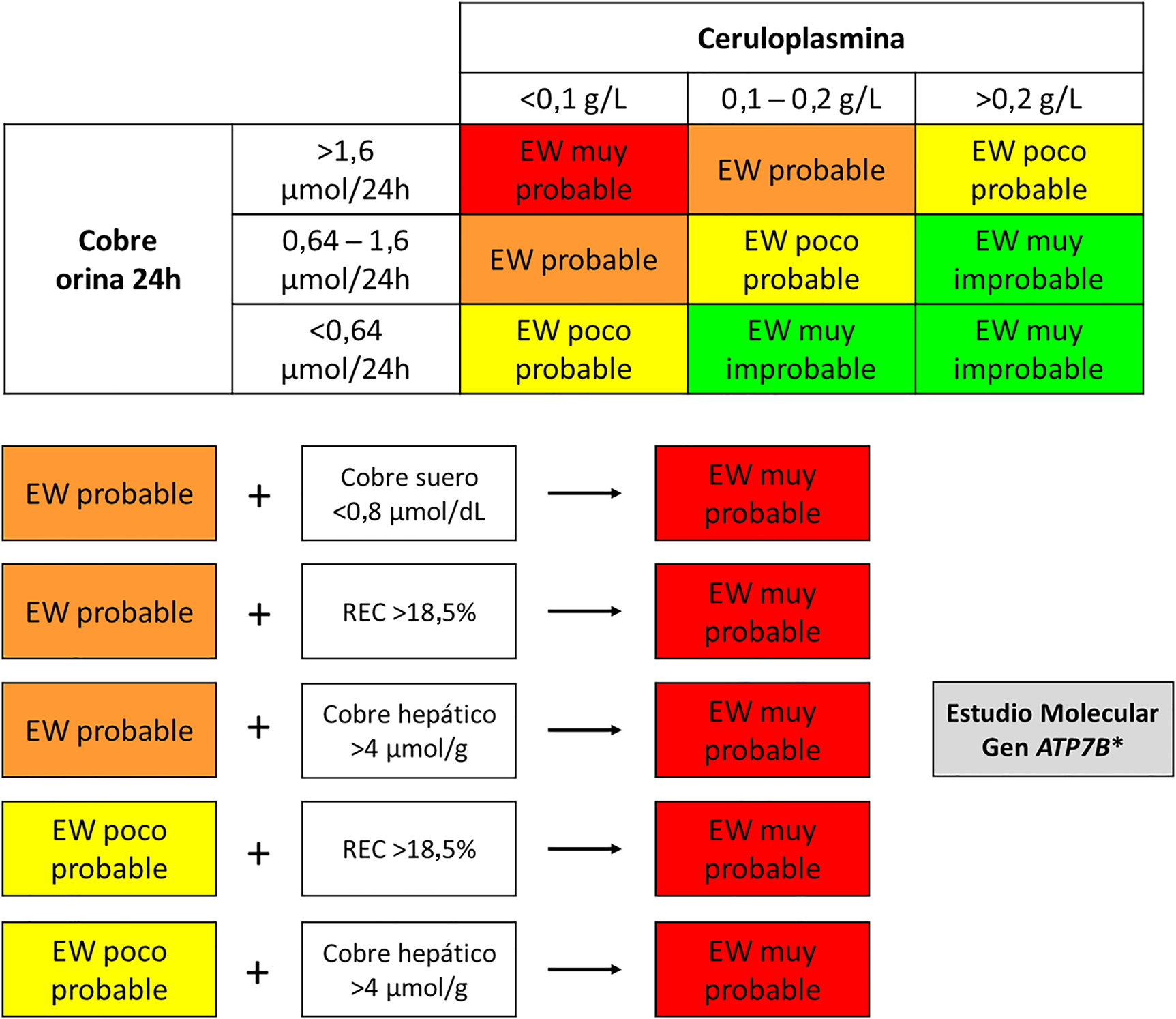 Figura 1: 
Algoritmo para el diagnóstico bioquímico de la enfermedad de Wilson (EW). Un resultado de cobre sérico total <0,8 μmol/dL puede ser utilizado para orientar los casos con resultados intermedios de ceruloplasmina hacia un diagnóstico muy probable de EW (gracias a su elevado valor predictivo positivo).
Un resultado de cobre intercambiable relativo (REC)>18,5% o un resultados de cobre intrahepático >4 μmol/g, en ausencia de colestasis, permiten reorientar los casos dudosos hacia un diagnóstico muy probable de EW. *El estudio molecular está altamente indicado en los pacientes cuyos resultados indiquen una EW muy probable o en los pacientes con resultados que sugieran una EW probable y en los que se quiera evitar una biopsia hepática.
