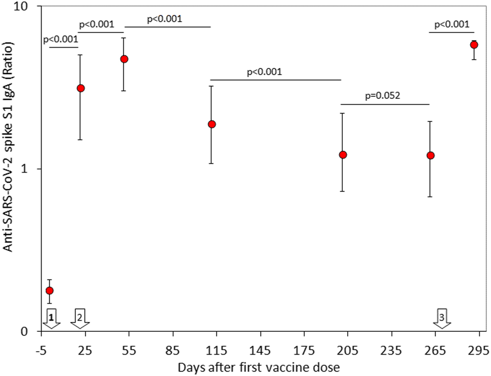 Figure 1: 
Serum concentration (median and interquartile range) of anti-SARS-CoV-2 spike S1 IgA antibodies in a cohort of healthcare workers receiving primary BNT162b2 vaccination and homologous booster.
The white arrows indicate the timing of BNT162b2 vaccine doses.

