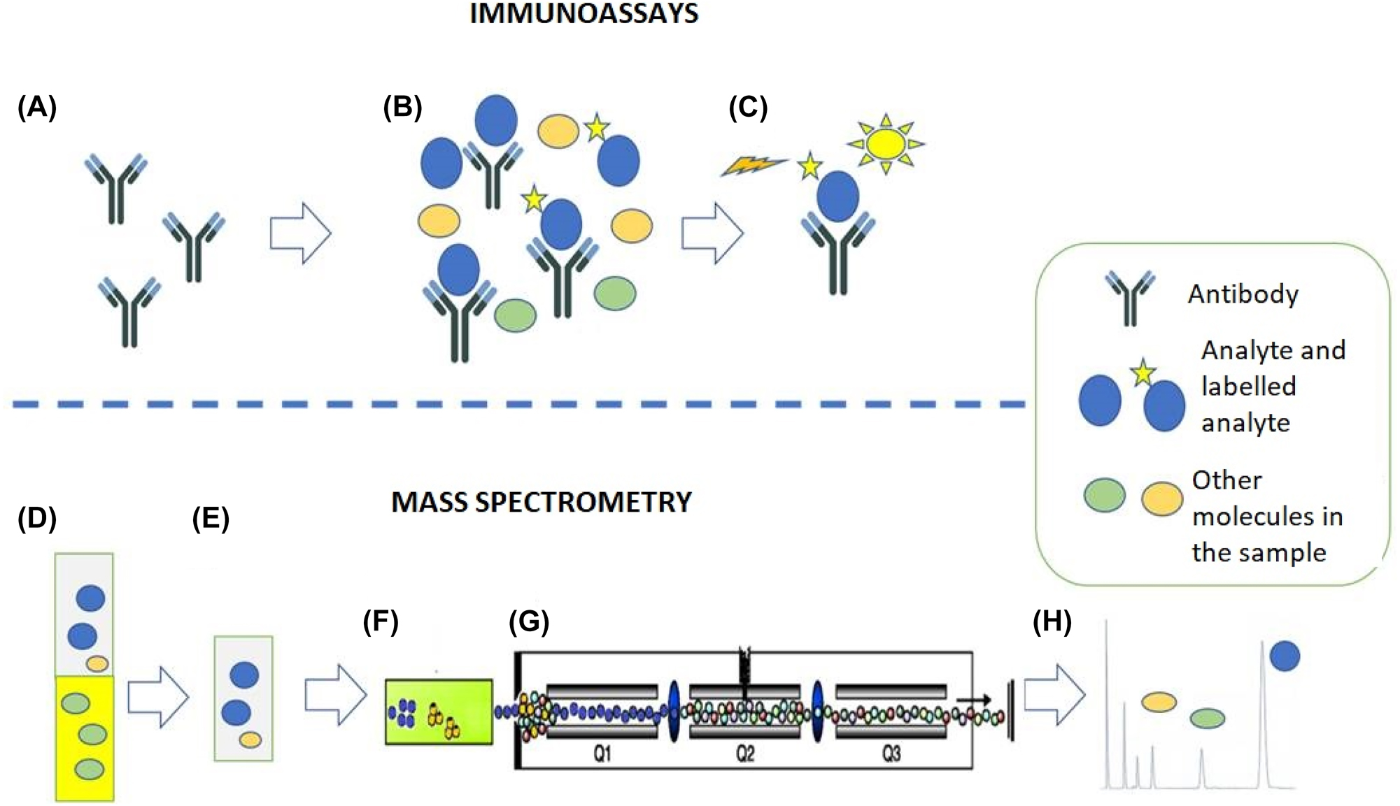 Figure 1:
Immunoassays. (A–C) Example of competitive chemiluminiscence immunoassay. (A) By this method, a specific antibody recognizes the analyte of interest. (B) The antibody is incubated with the sample (containing the analyte of interest and other molecules) and with the labeled analyte. The analyte and labeled analyte compete for antibody binding sites. (C) The chemiluminiscence signal generated by the bound labeled analyte is recorded. In this example, the recorded signal will be inversely proportional to the amount of analyte initially present in the sample. (D-H) Mass spectrometry. Example of liquid chromatography tandem-mass spectrometry (LC-MS/MS). (D) and (E) Extraction of a serum sample using an organic solvent. This step eliminates potential interferences. (F) Separation of sample components by liquid chromatography. (G) Selection of analyte-specific ions. (H) Representation of results. The chromatographic peak area is directly proportional to the amount of the analyte initially present in the sample.
