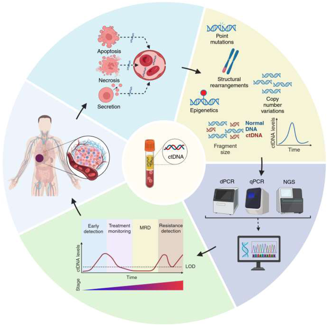 Teaser image from the article