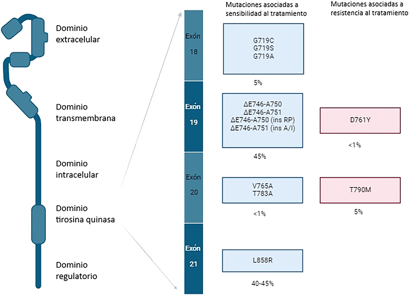 Teaser image from the article