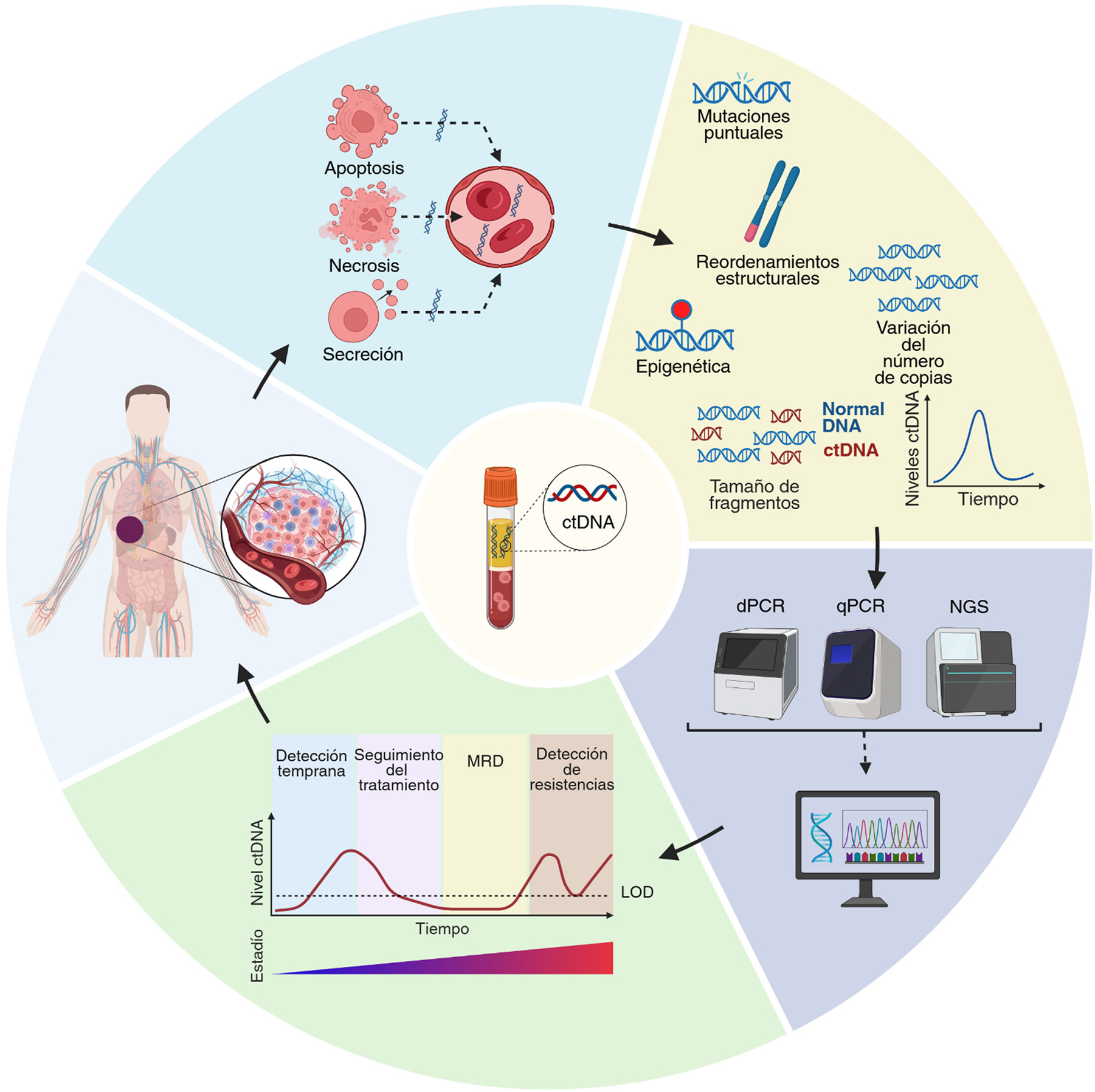 Teaser image from the article