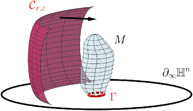 Figure 9: 
Here is a representation for n = 2. The black circle is the boundary at infinity of the slice 




H


2


×

{

0

}



${\mathbb{H}}^{2}{\times}\left\{0\right\}$



, M is the blue surface whose red boundary Γ lies in 




H


2


×

{

0

}



${\mathbb{H}}^{2}{\times}\left\{0\right\}$



. One moves the purple half-cylinder 




C


r
,
ϵ




${\mathcal{C}}_{r,{\epsilon}}$



 isometrically towards M. Note that M may have non-trivial topology.
