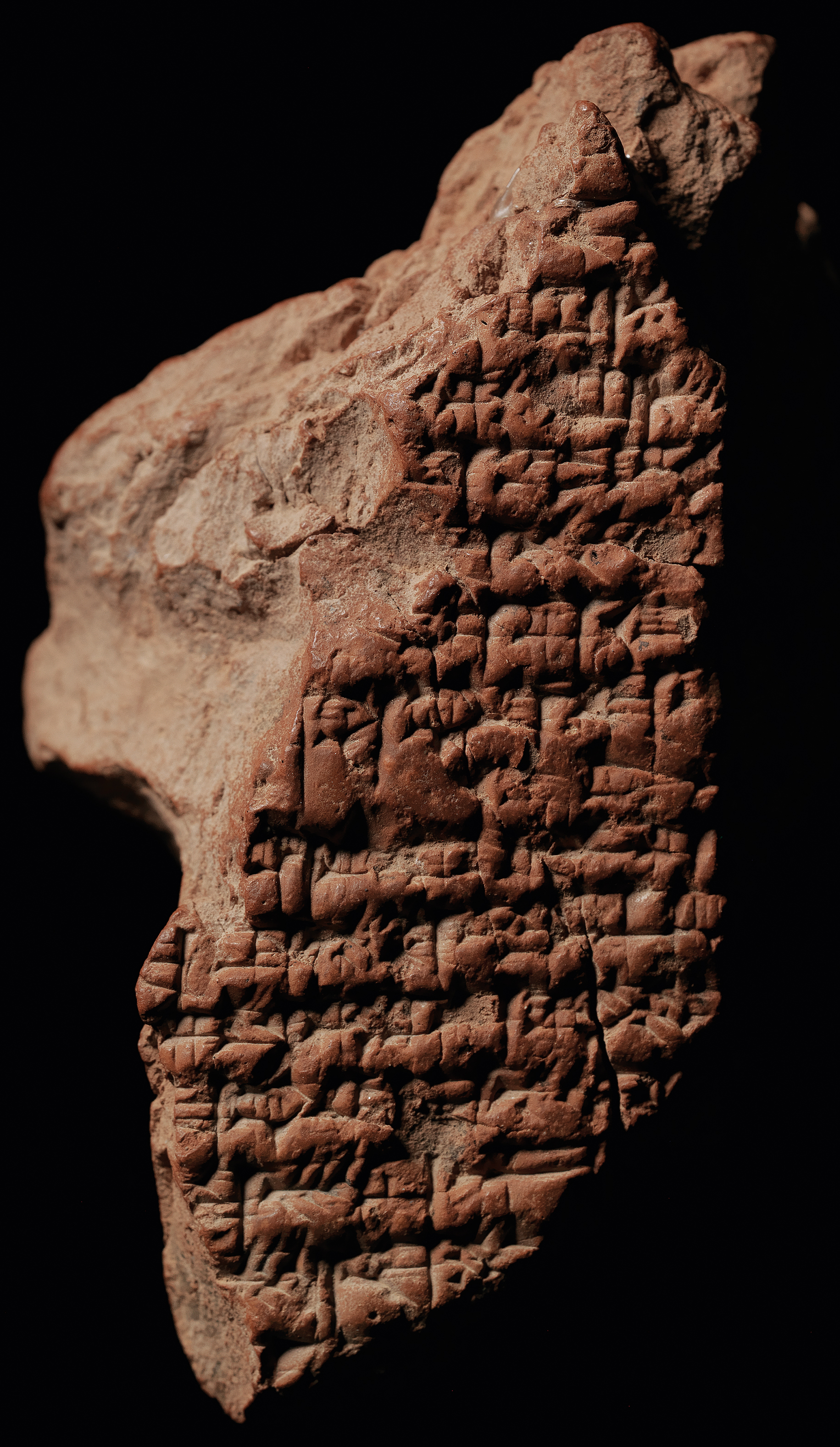 Fig. 4 
N 4264 (B) f.; courtoisie du Pennsylvania Museum.
