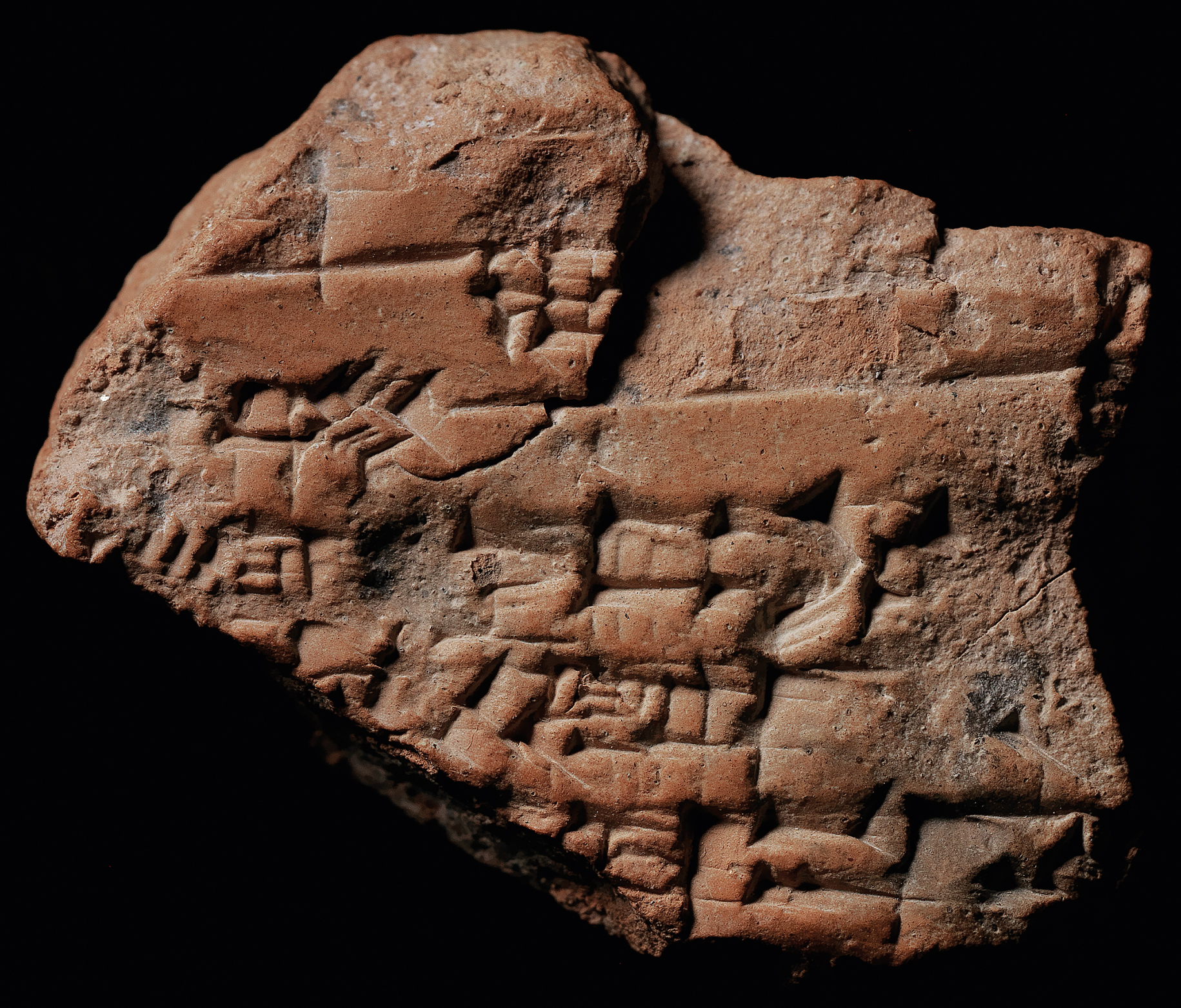Fig. 6 
N 7027 (B) f.; courtoisie du Pennsylvania Museum.
