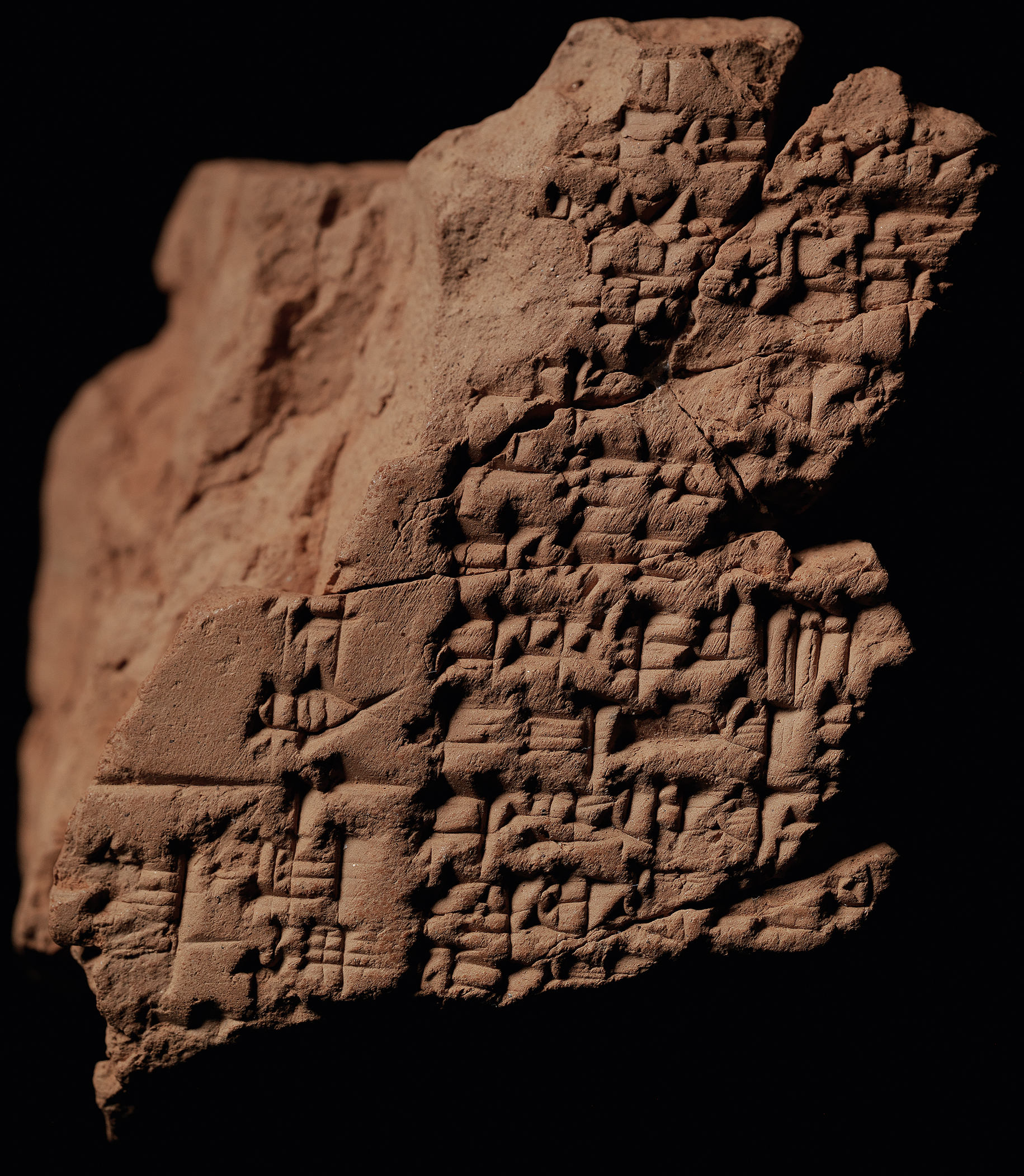 Fig. 8 
N 4258 (B) rev.; courtoisie du Pennsylvania Museum.
