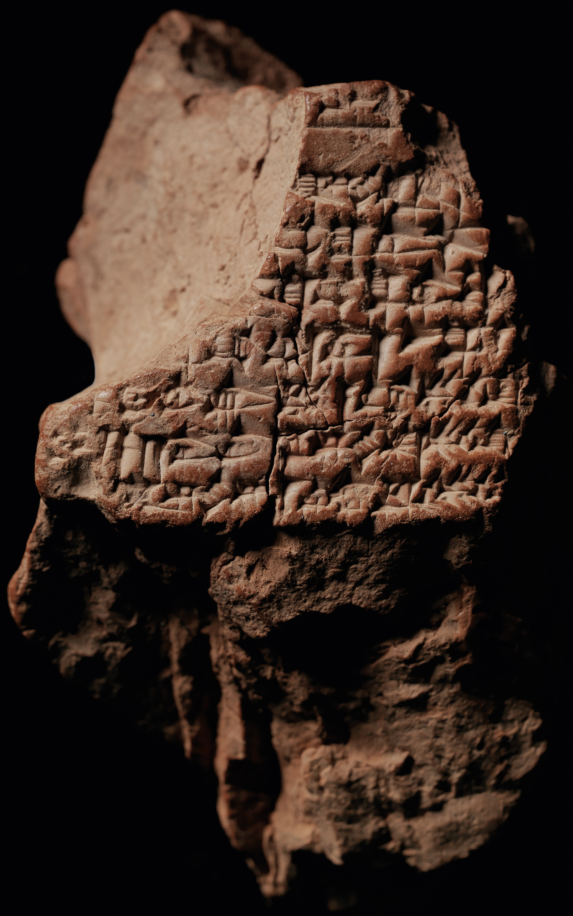 Fig. 9 
N 4264 (B) rev.; courtoisie du Pennsylvania Museum.
