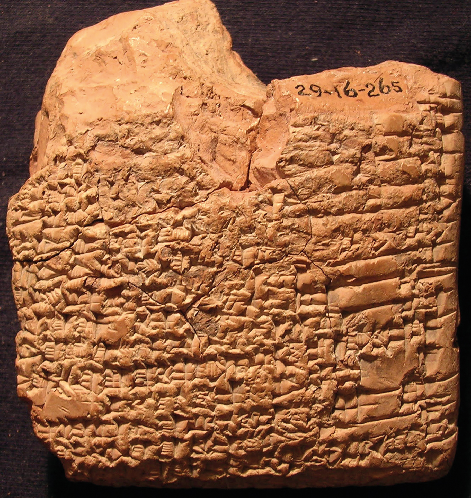 Fig. 10 
UM 29-16-265 (C) rev.; courtoisie du Pennsylvania Museum, photo de J. Peterson.
