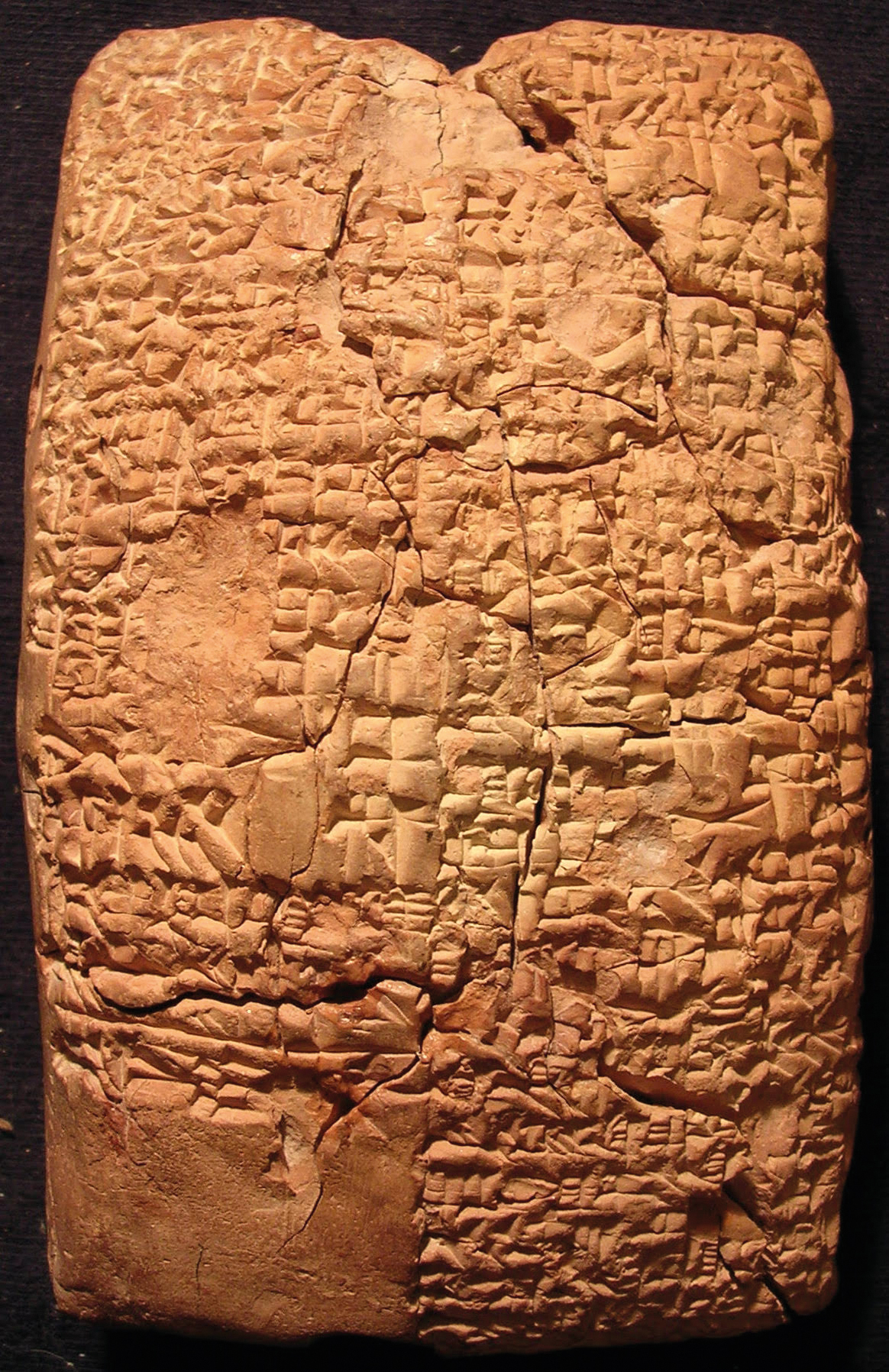 Fig. 11 
UM 29-16-81 (D) rev.; courtoisie du Pennsylvania Museum, photo de J. Peterson.

