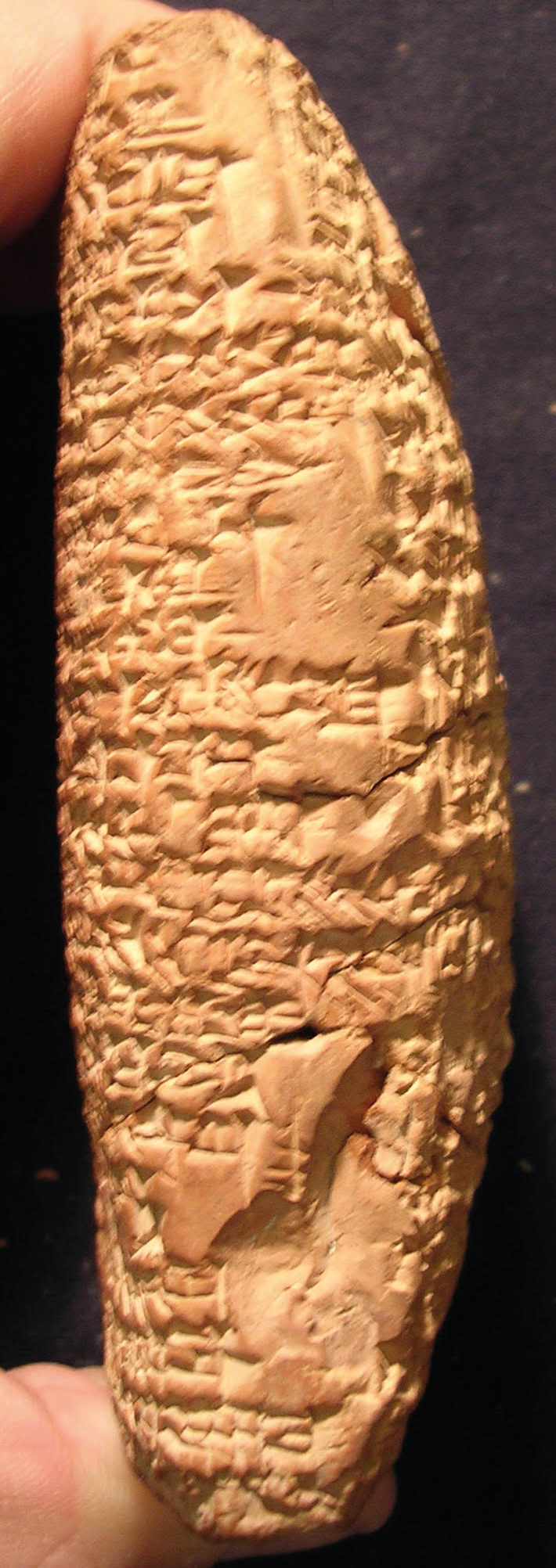 Fig. 12 
UM 29-16-81 (D) tr.; courtoisie du Pennsylvania Museum, photo de J. Peterson.
