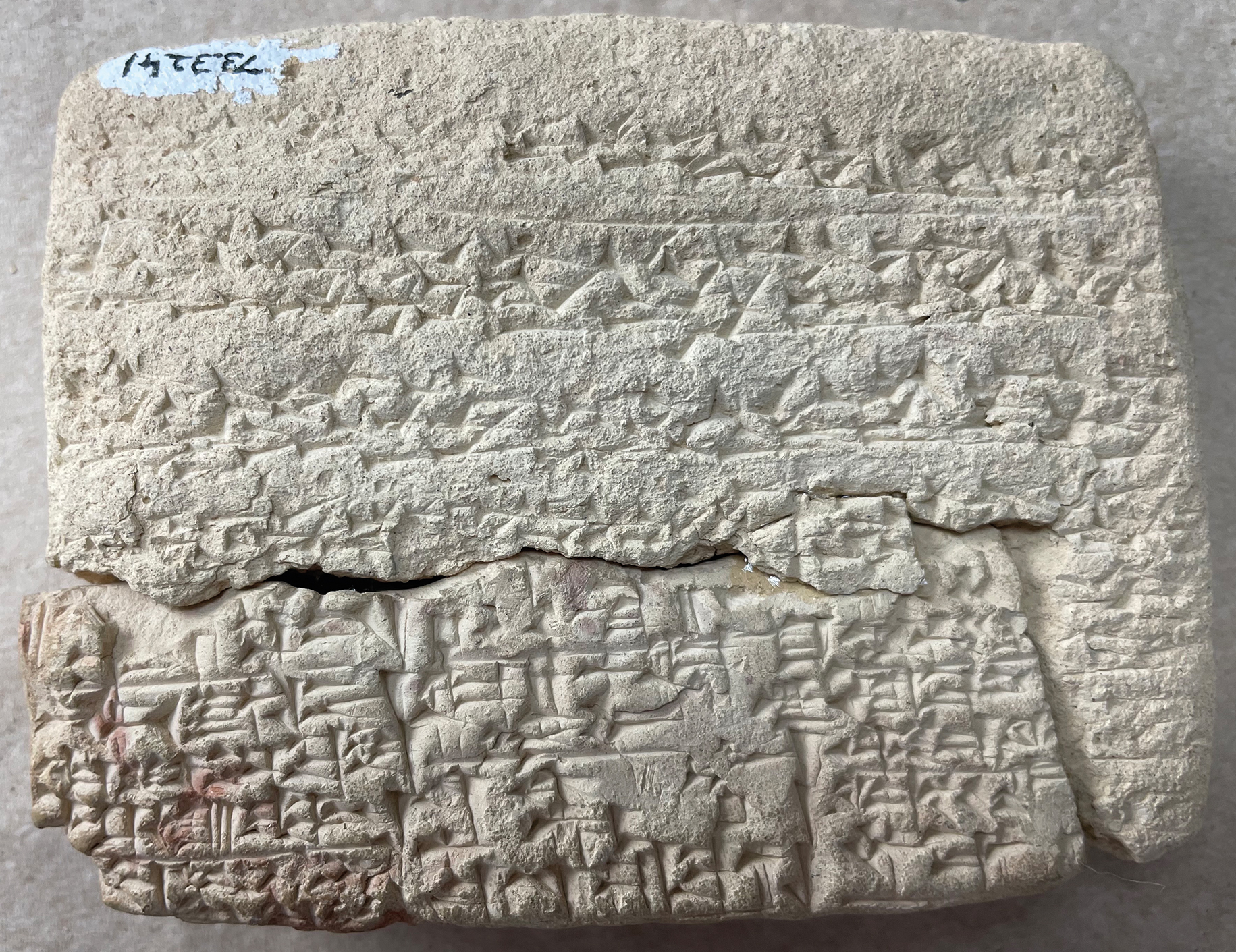 Fig. 13 
AUAM 73.3241 (E) f.; courtoisie du Siegfried H. Horn Museum, photo de P. Michalowski.
