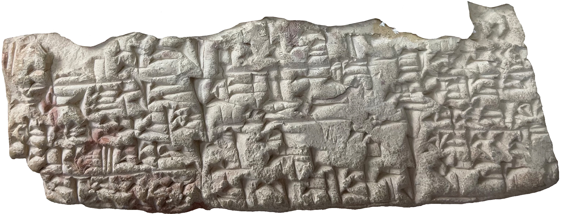 Fig. 14 
AUAM 73.3241 (E) f.; courtoisie du Siegfried H. Horn Museum, photo de P. Michalowski.

