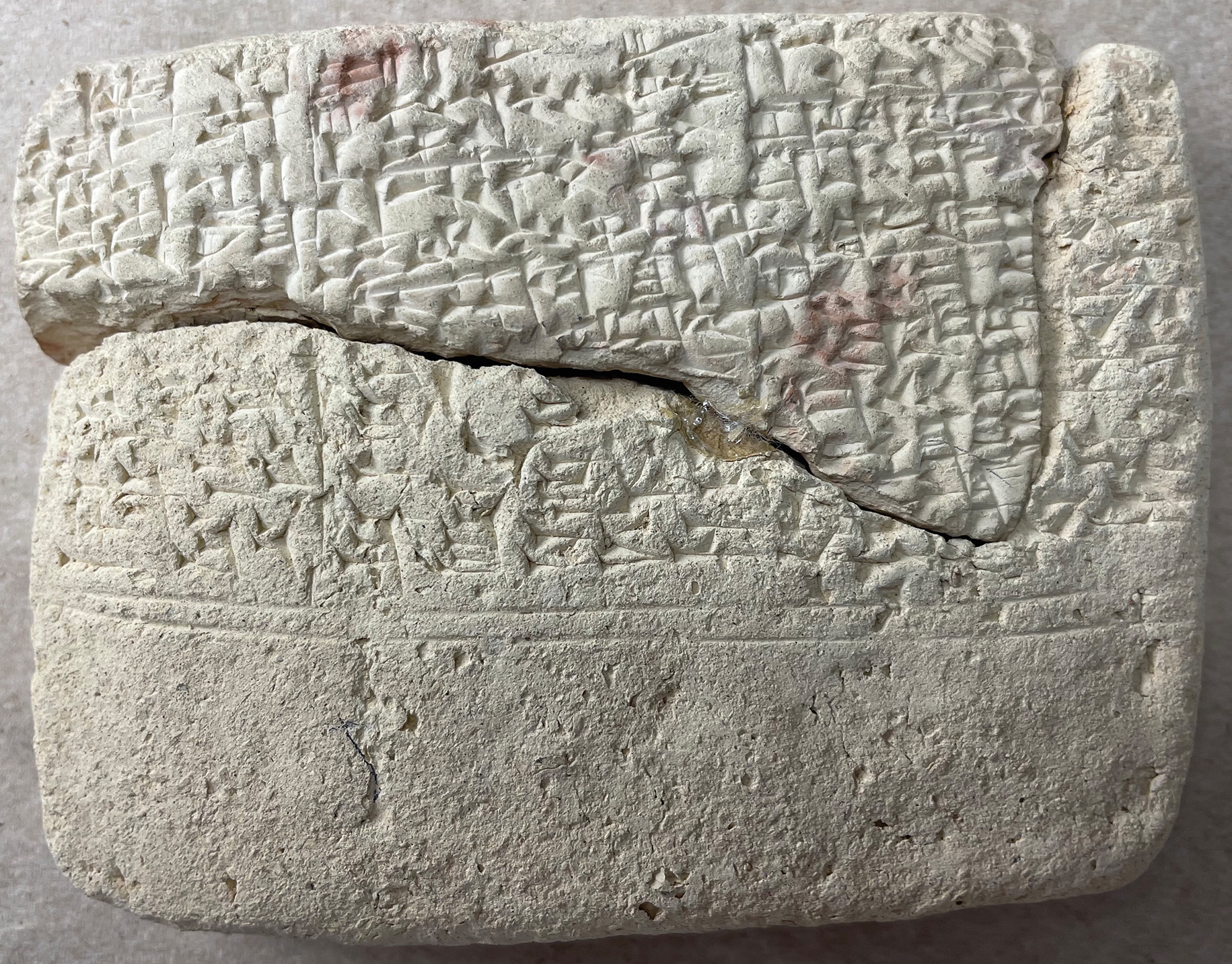 Fig. 15 
AUAM 73.3241 (E) rev.; courtoisie du Siegfried H. Horn Museum, photo de P. Michalowski.
