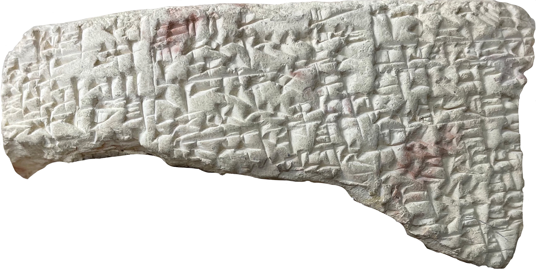 Fig. 16 
AUAM 73.3241 (E) rev.; courtoisie du Siegfried H. Horn Museum, photo de P. Michalowski.
